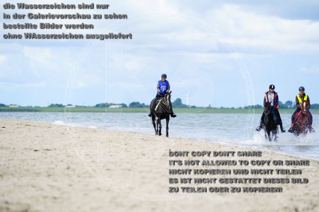 s_K3F05081.JPG